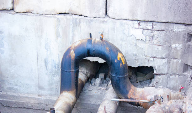 Best Sewage cleanup and water damage restoration  in Lmer Heights, PA