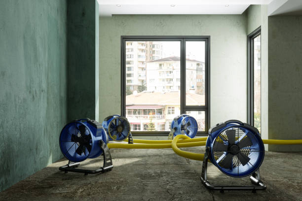 Best Water damage restoration experts  in Lmer Heights, PA