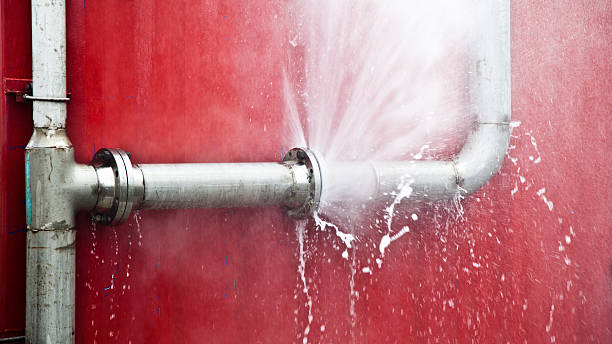 Best Carpet water damage restoration  in Lmer Heights, PA